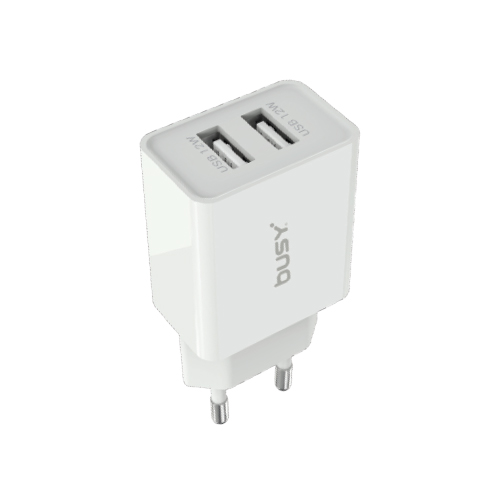 Dual USB A Wall Charger